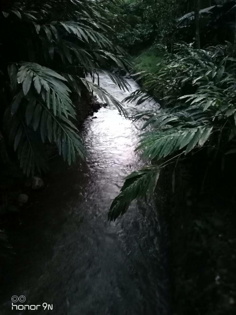 Alencherry Plantation Homestay Thekkady Luaran gambar
